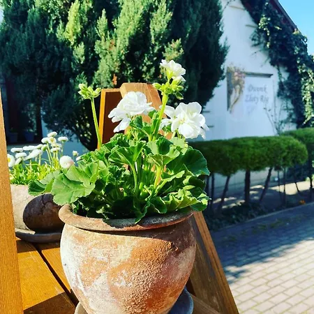 Hotell Dworek Zloty Rog I Restauracja