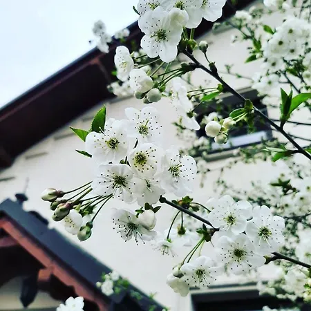 Dworek Złoty Róg I Restauracja 3* Cracóvia